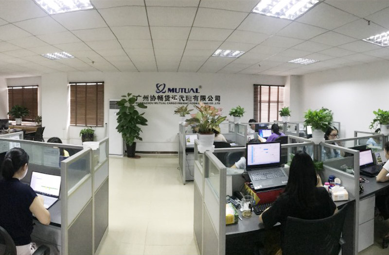 Technical Team